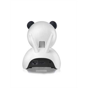 Indoor IP Camera