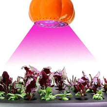LED Grow Light