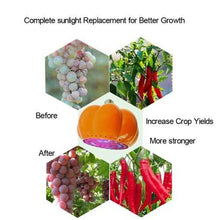 LED Grow Light
